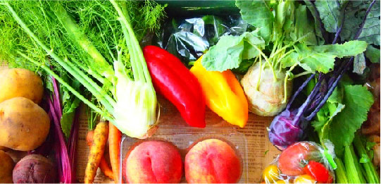 オーガニック野菜