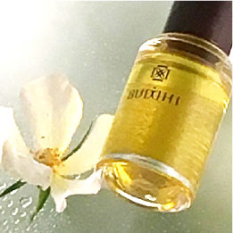 BUDDHI リトリートオイル