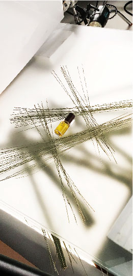 BUDDHI リトリートオイル (い草)