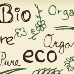 ＥＣＯ