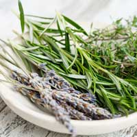 「脳」×「肌」香りの専門家に学ぶオイル美容イベントとは！？