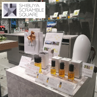 2024.11.1-12.31 [リトリートキャンペーン]